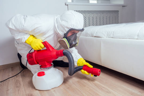 Best Bed Bug Extermination  in East Quincy, CA